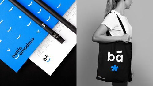 Baltic Amadeus 定制軟件開發中的品牌形象與軟件設計融合之道